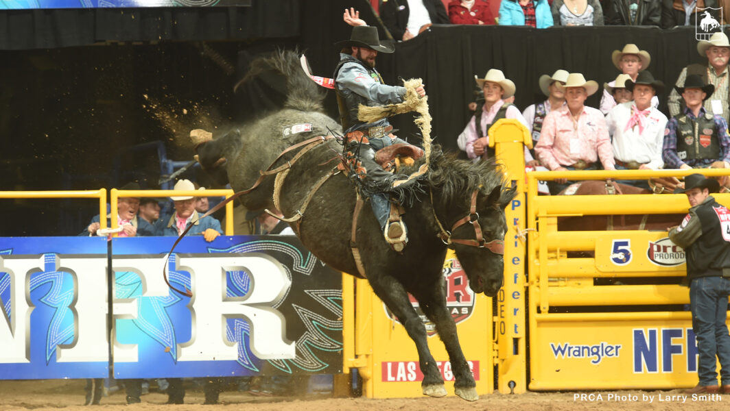 Two-Time PRCA Saddle Bronc Horse of the Year Spring Planting Passes Away